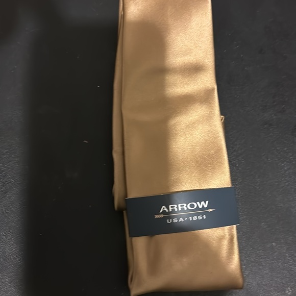 Neck Tie  Brand New Beautiful Color - Picture 3 of 3